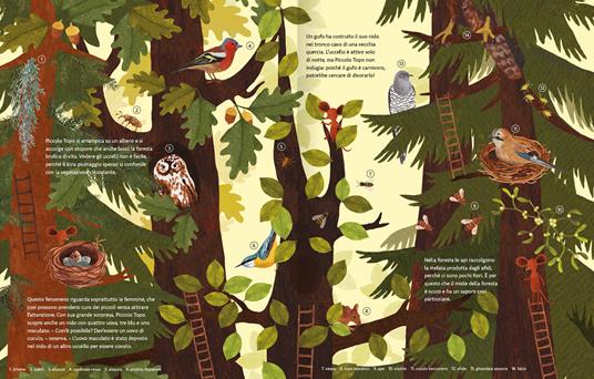 A spasso nella natura. L'enciclopedia di Piccolo Topo. Ediz. a colori - Tereza Vostradovska - 4
