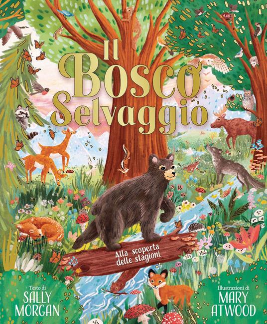 Il bosco selvaggio. Alla scoperta delle stagioni. Ediz. a colori - Sally Morgan - copertina