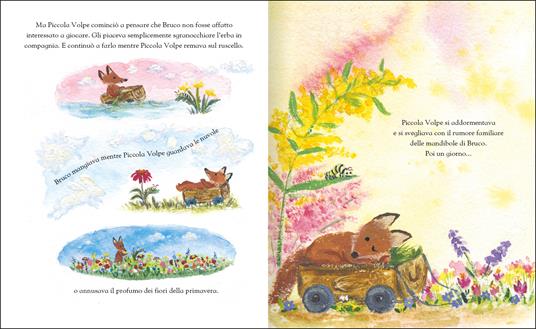 Piccola Volpe e Bruco. Ediz. a colori - Julia Rawlinson - 3