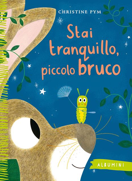 Stai tranquillo, piccolo bruco. Ediz. a colori - Christine Pym - copertina