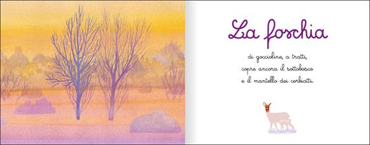 Cieli. Ediz. a colori - Charline Collette - 3