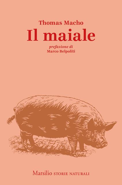 Il maiale - Thomas Macho,Judith Schalansky,Falk Nordmann,Francesco Peri - ebook