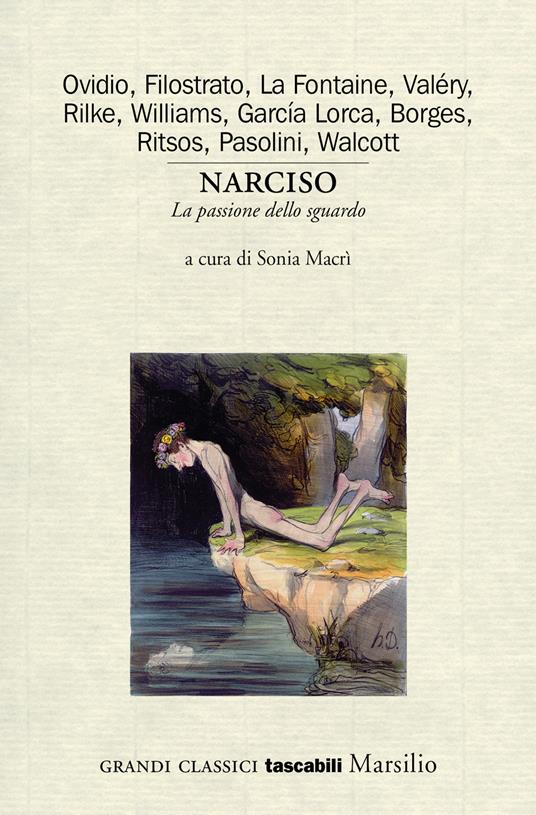 Narciso. La passione dello sguardo. Variazioni sul mito - copertina