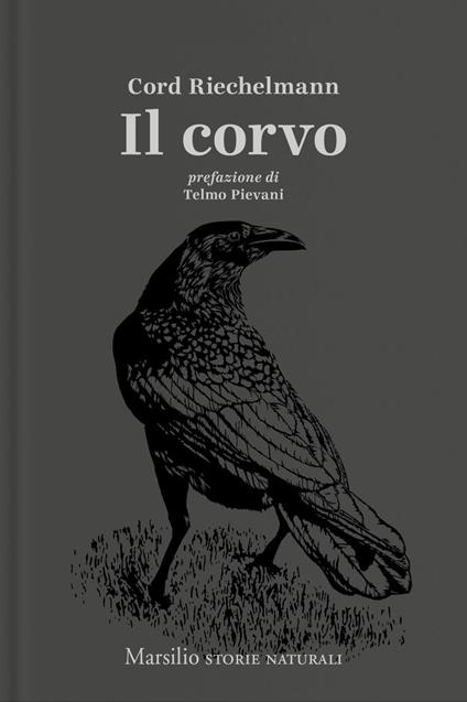 Il corvo - Cord Riechelmann,Judith Schalansky,Falk Nordmann,Angela Ricci - ebook