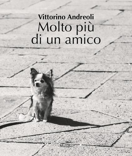 Molto più di un amico. Ediz. illustrata - Vittorino Andreoli - copertina