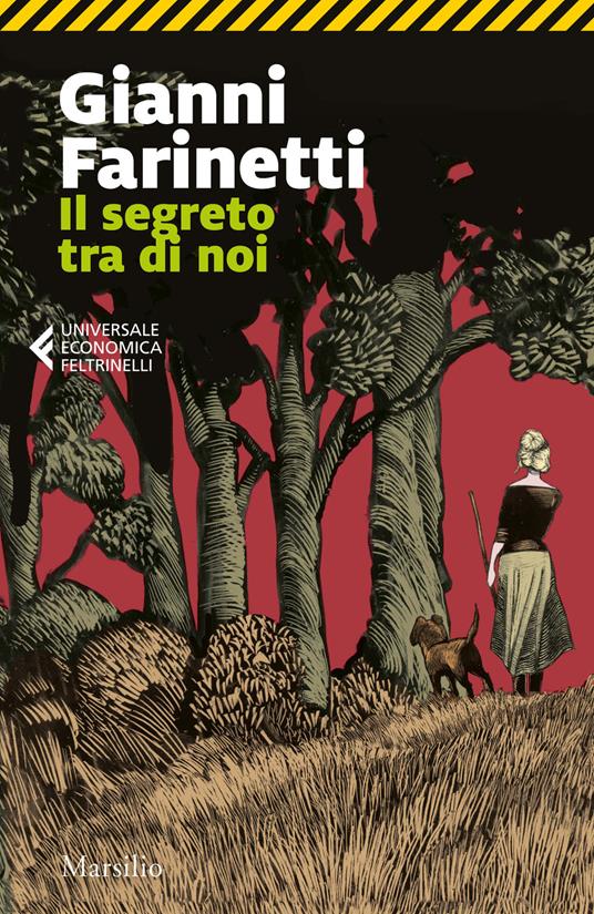 Il segreto tra di noi - Gianni Farinetti - copertina
