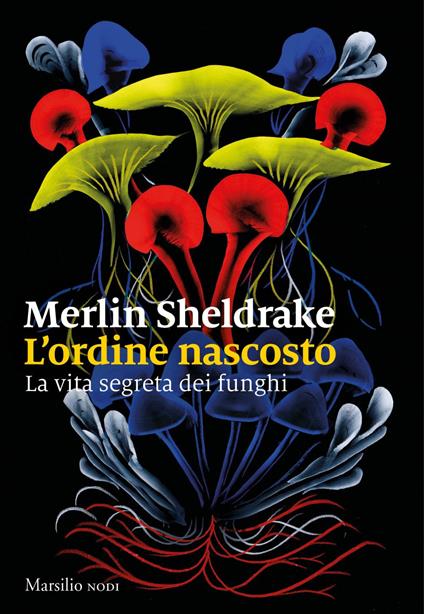L' ordine nascosto. La vita segreta dei funghi - Anita Taroni,Stefano Travagli,Merlin Sheldrake - ebook