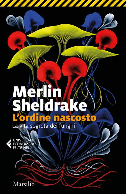 L'ordine nascosto. La vita segreta dei funghi - Merlin Sheldrake - copertina