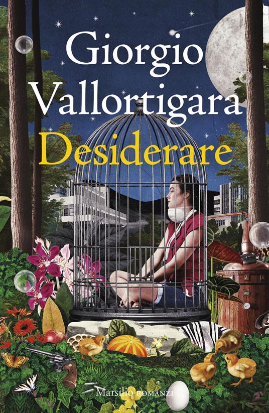 Desiderare - Giorgio Vallortigara - copertina