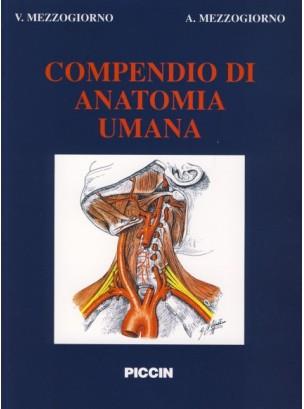 Compendio di anatomia umana - Vittorio Mezzogiorno,Antonio Mezzogiorno - copertina