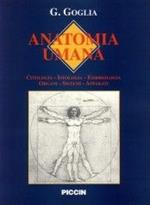 Anatomia. Anatomia umana