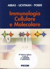Libraccio