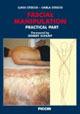 Fascial manipulation pratical part - Luigi Stecco,Carla Stecco - copertina