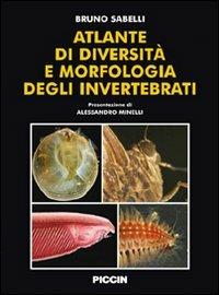 Atlante di diversità e morfologia degli invertebrati - Bruno Sabelli - copertina