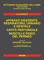 Istituzioni di anatomia dell'uomo. Apparati digerente, respiratorio, urinario e genitale. Cavità peritoneale. Muscoli e fasce del perineo