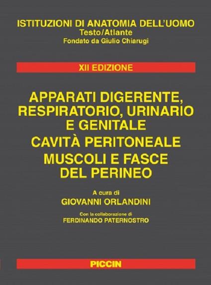 Istituzioni di anatomia dell'uomo. Apparati digerente, respiratorio, urinario e genitale. Cavità peritoneale. Muscoli e fasce del perineo - Giovanni Orlandini - copertina