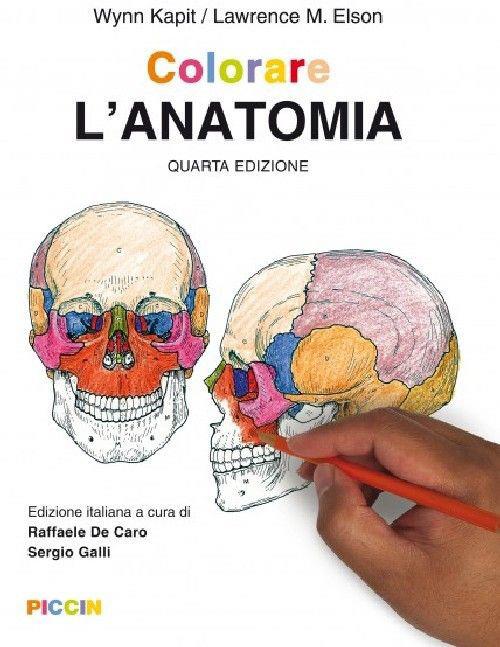 Colorare l'anatomia - Wynn Kapit,Lawrence M. Elson - copertina