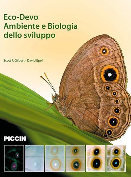 Eco-devo. Ambiente e biologia dello sviluppo - Scott F. Gilbert,David Epel - copertina