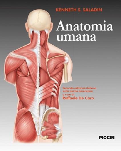 Anatomia umana - Kenneth S. Saladin - copertina