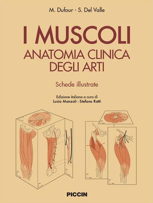 I muscoli. Anatomia clinica degli arti. Shede illustrate - M. Dufour,S. Del Valle - copertina