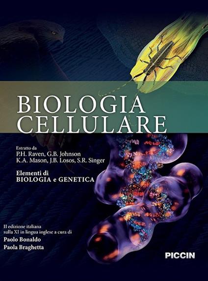 Biologia cellulare - Peter H. Raven,G. B. Johnson,K. A. Mason - copertina