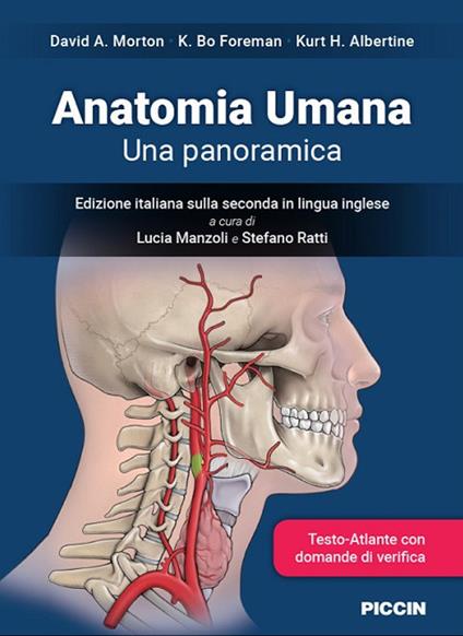 Anatomia umana. Una panoramica - David A. Morton,K. Bo Foreman,Kurt H. Albertine - copertina