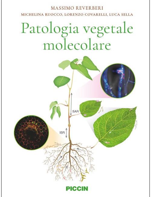 Patologia vegetale molecolare - Massimo Reverberi,Michelina Ruocco,Lorenzo Covarelli - copertina