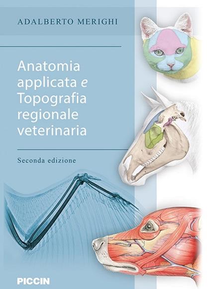 Anatomia applicata e topografia regionale veterinaria - Adalberto Merighi - copertina