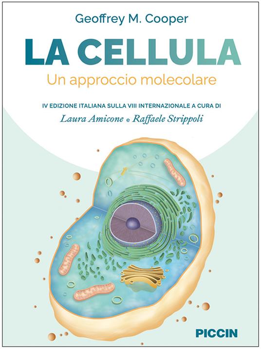 La cellula. Un approccio molecolare - Geoffrey M. Cooper - copertina