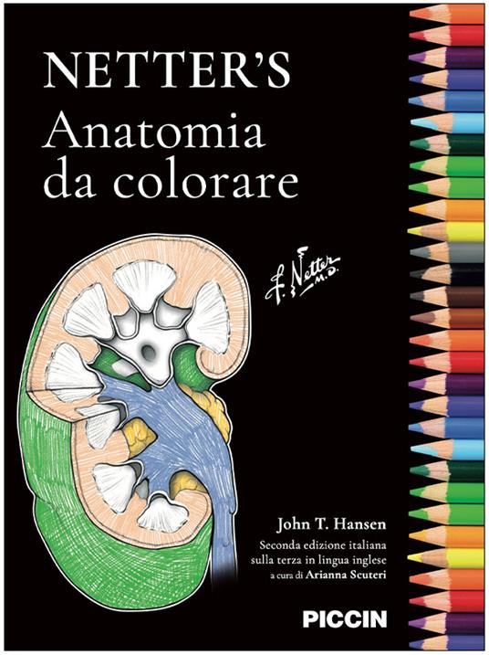 Netter's. Anatomia da colorare - John T. Hansen - copertina