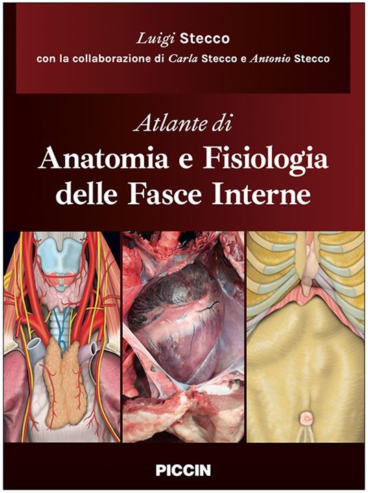 Atlante di anatomia e fisiologia delle fasce interne - Luigi Stecco,Carla Stecco,Antonio Stecco - copertina