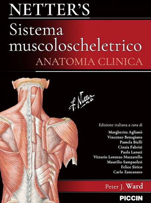 Netter's. Sistema muscoloscheletrico. Anatomia clinica - Peter J. Ward - copertina