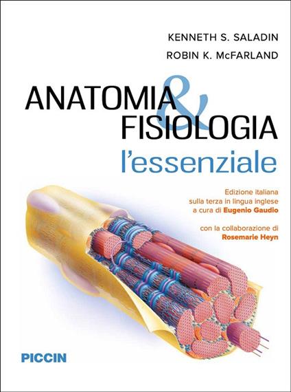 Anatomia e fisiologia. L'essenziale - Kenneth S. Saladin,Robin K. Mcfarland,Rosemarie Heyn - copertina