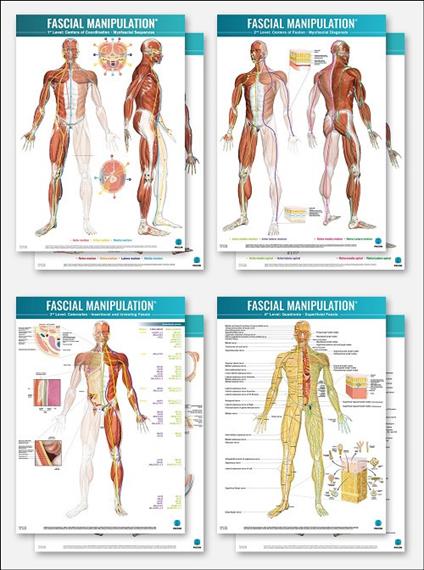 Fascial manipulation. 4 posters package - Stecco - copertina