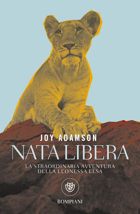 Nata libera. La straordinaria avventura della leonessa Elsa - Joy Adamson - copertina