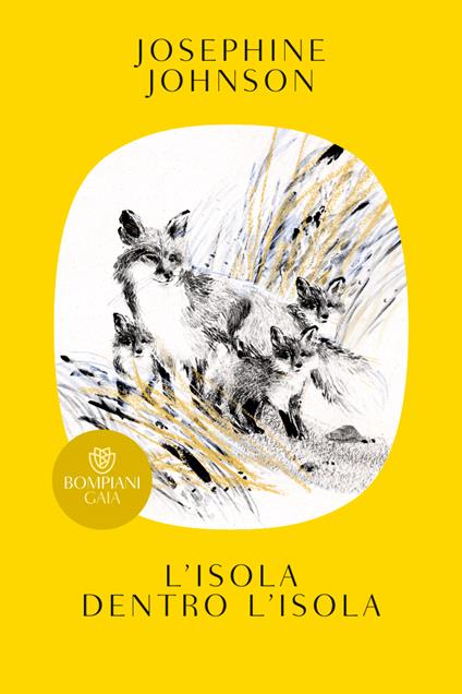 L'isola dentro l'isola - Josephine Johnson - copertina