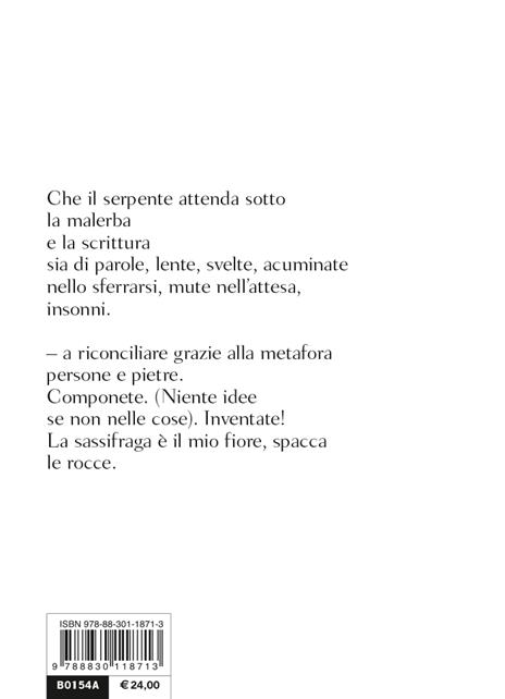 A un discepolo solitario. Testo inglese a fronte. Ediz. bilingue - William Carlos Williams - 3