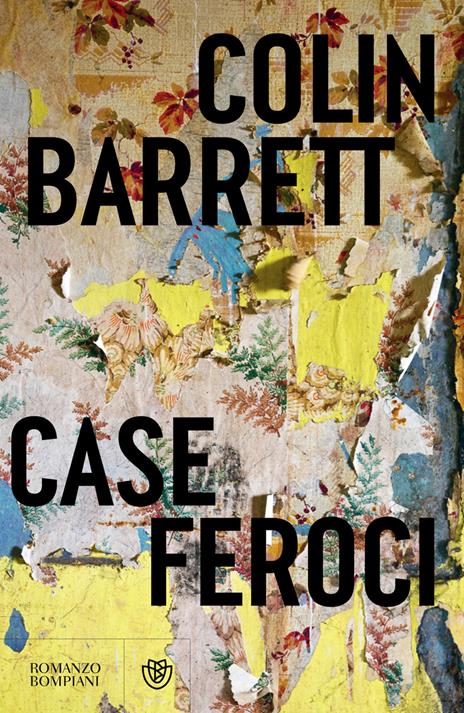 Case feroci - Colin Barrett - copertina