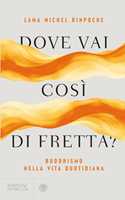 Libro Dove vai così di fretta? Buddhismo nella vita quotidiana Michel (Rinpoche Lama)