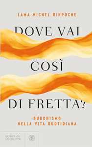 Libro Dove vai così di fretta? Buddhismo nella vita quotidiana Michel (Rinpoche Lama)
