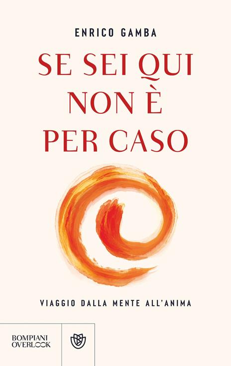 Se sei qui non è per caso. Viaggio dalla mente all'anima - Enrico Gamba - copertina