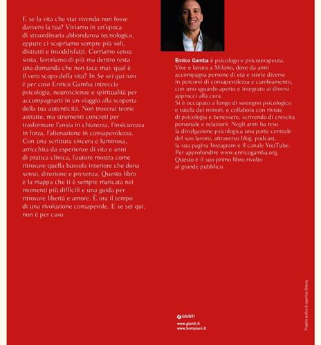 Se sei qui non è per caso. Viaggio dalla mente all'anima - Enrico Gamba - 2