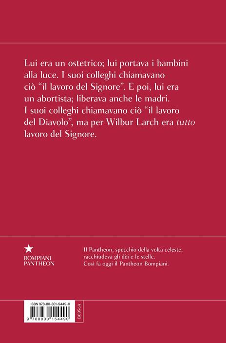 Le regole della casa del sidro - John Irving - 2