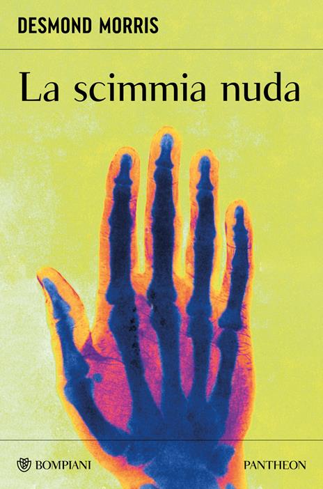 La scimmia nuda - Desmond Morris - copertina