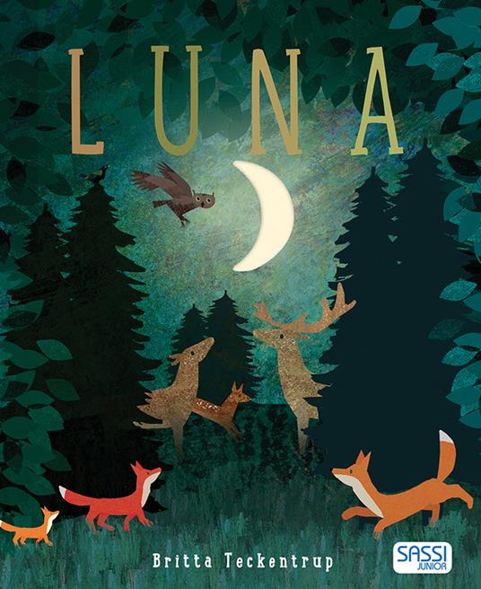Luna. Ediz. a colori - Britta Teckentrup - copertina