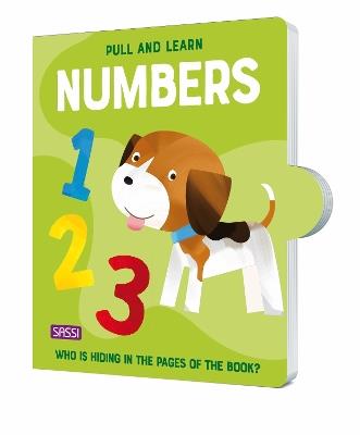 Pull and learn. Numbers. Ediz. a colori - Matteo Gaule - copertina