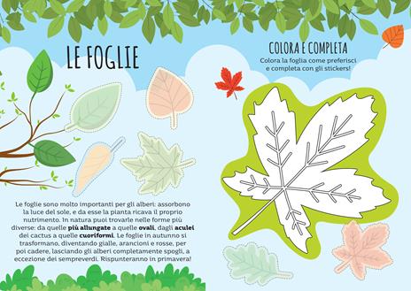 Carte da gioco. Dubito! - 4