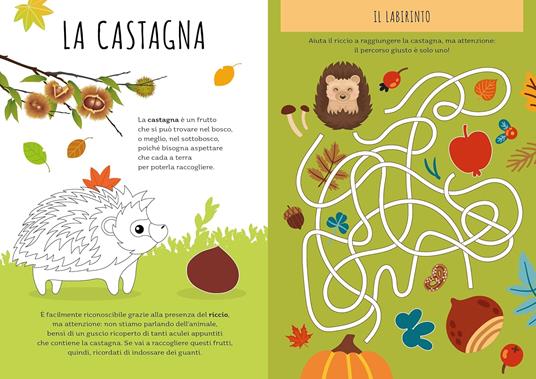 Autunno. Stickers e attività. Ediz. a colori - Maria Sara Mabilia - 3