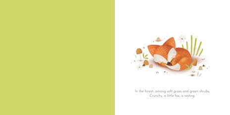 Crunchy's cleverness. Ediz. illustrata - Roberta Marcolin - 2