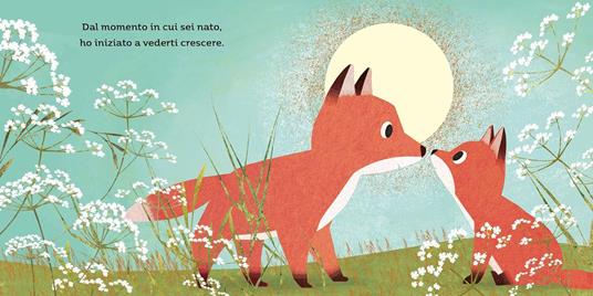 Fratelli per sempre. Picture books. Ediz. a colori - Susannah Shane,Britta Teckentrup - 2